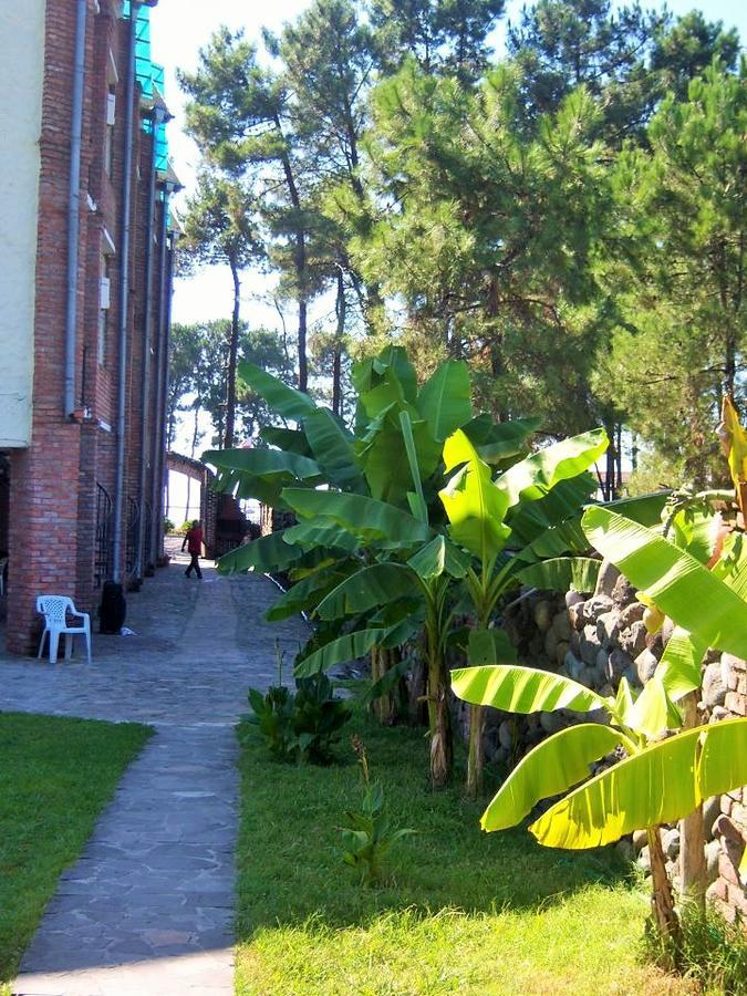 Old House Hotel Ureki Bagian luar foto